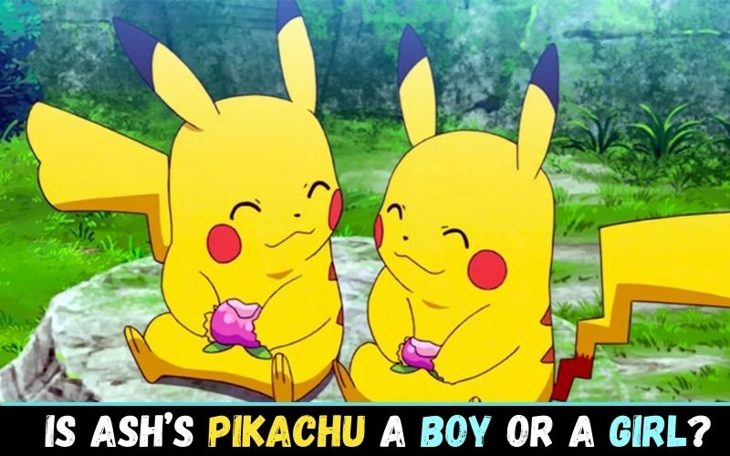 Is Ash’s Pikachu a boy or a girl?