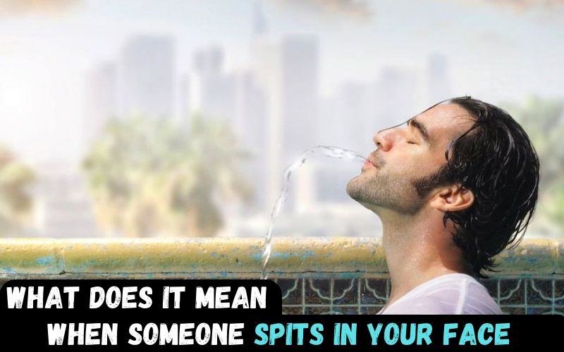 What does it mean when someone spits in your face?