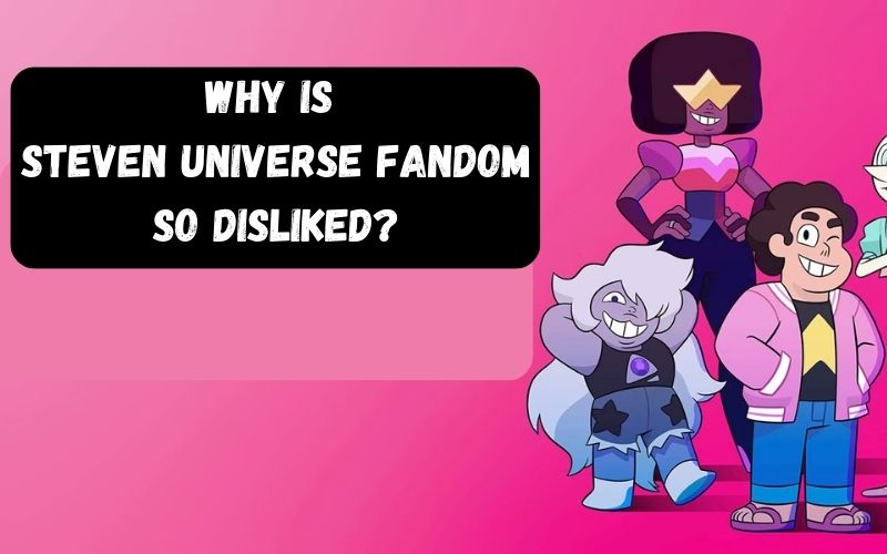 Why is the Steven Universe fandom so disliked?